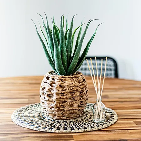 O Canto Do Oceano T2 Албуфейра