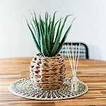 O Canto Do Oceano T2 Albufeira